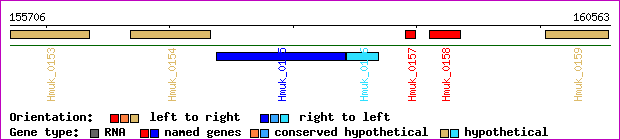 gene map