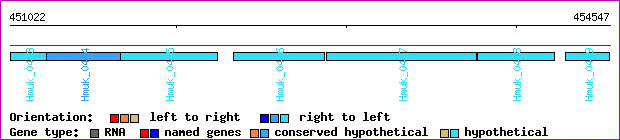 gene map
