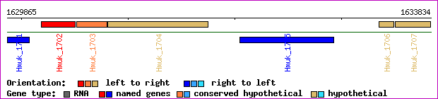 gene map