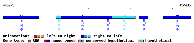 gene map