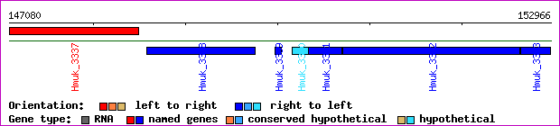 gene map