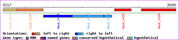 gene map
