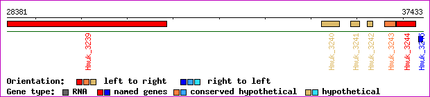 gene map