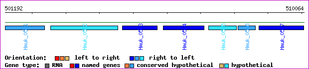 gene map