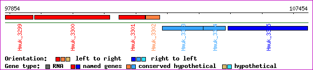 gene map