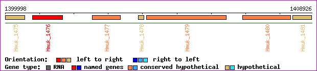 gene map