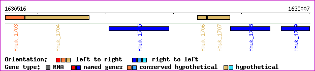 gene map