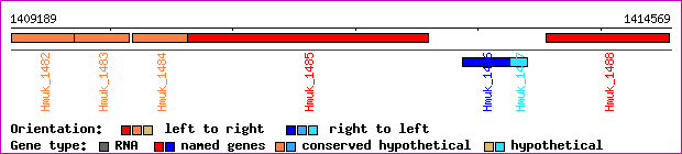 gene map