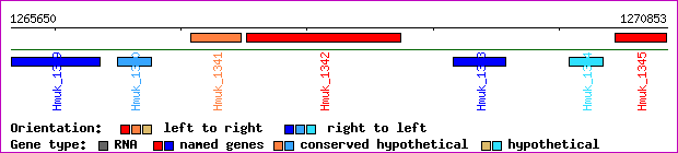 gene map