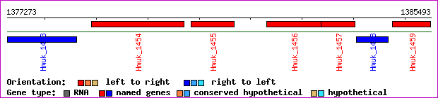 gene map