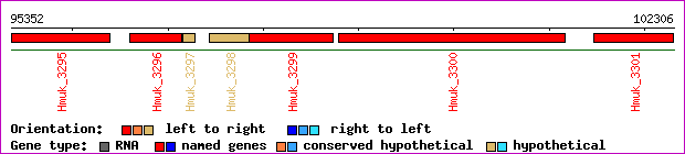 gene map