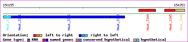 gene map