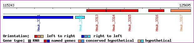 gene map