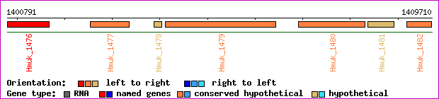 gene map
