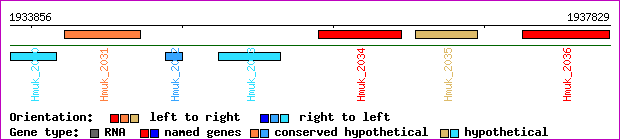 gene map