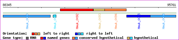 gene map