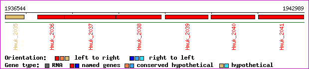 gene map