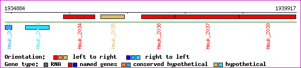 gene map