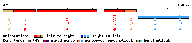 gene map
