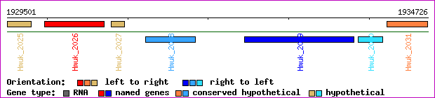 gene map