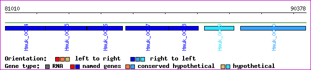 gene map