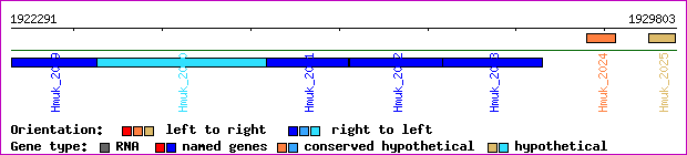 gene map