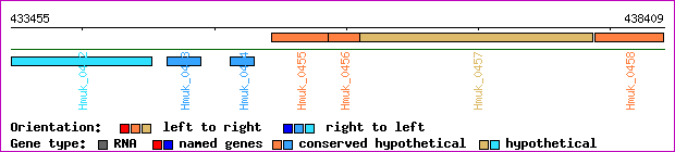 gene map