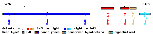 gene map