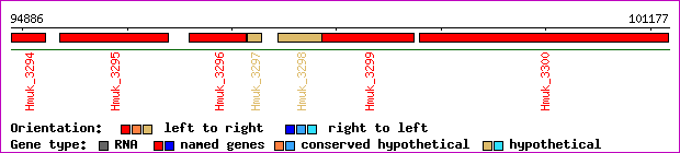 gene map