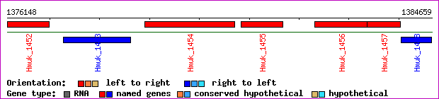 gene map