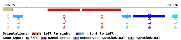 gene map