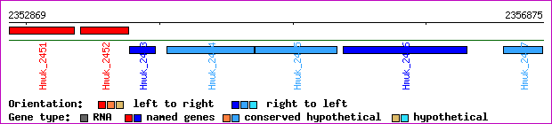 gene map