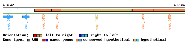 gene map