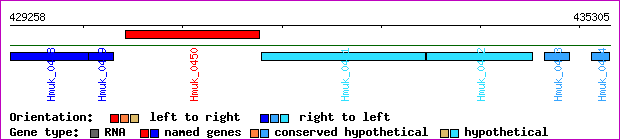 gene map