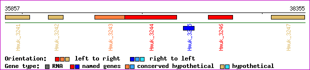 gene map
