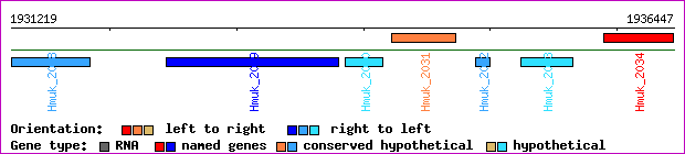 gene map