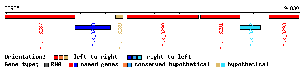 gene map