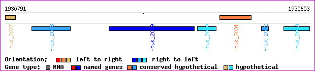 gene map