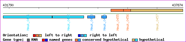 gene map