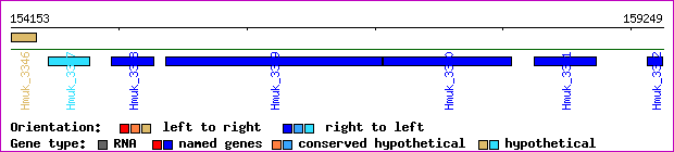 gene map