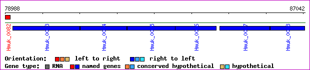 gene map