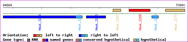 gene map