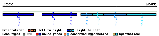 gene map