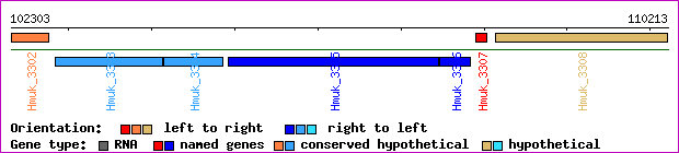 gene map