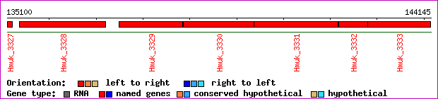 gene map