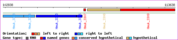 gene map