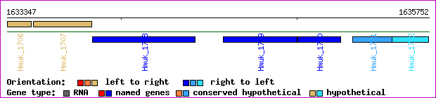 gene map