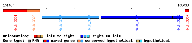 gene map