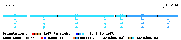 gene map