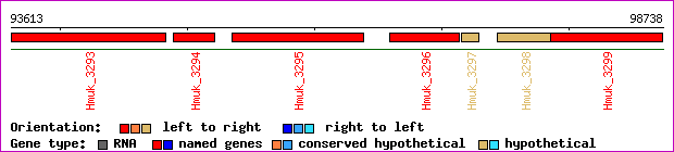 gene map